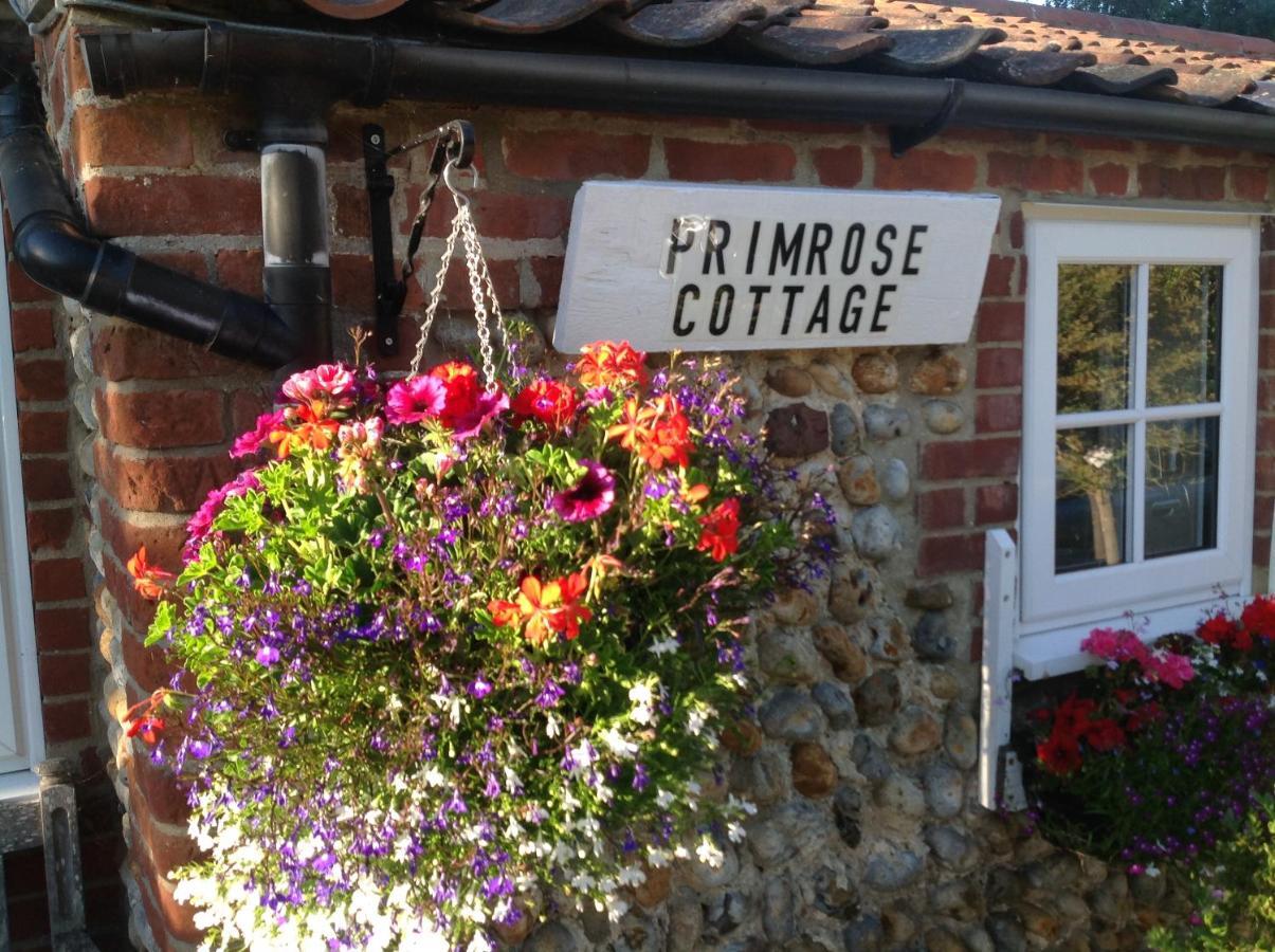 Primrose Bed & Breakfast
